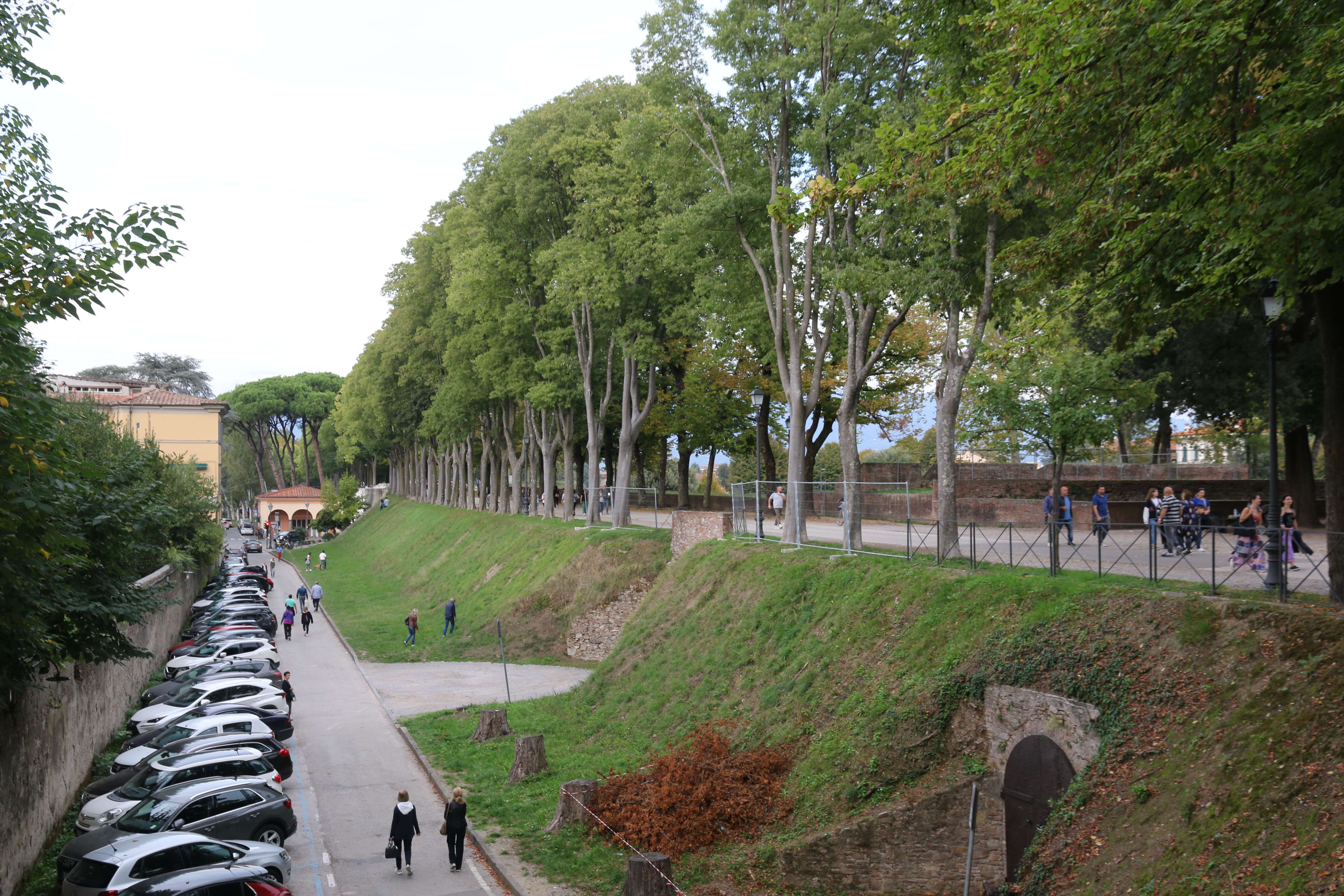 Lucca